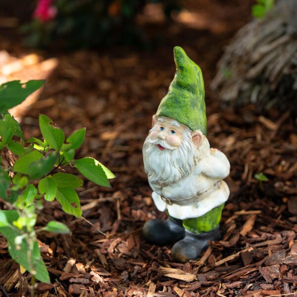 A garden gnome figurine with a green hat and beard standing among foliage and mulch.