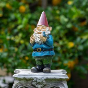 Brighten Your Garden with Alpine Corporation Gnome Statue